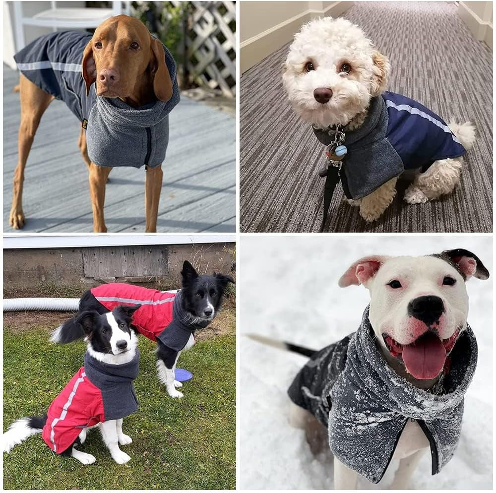 Winter Dog Coat, Warm Polar Fleece Lining Doggie Outdoor Jacket with Turtleneck Scarf Reflective Stripe Adjustable Waterproof Windproof Puppy Vest Soft Pet Outfits (M,Red)