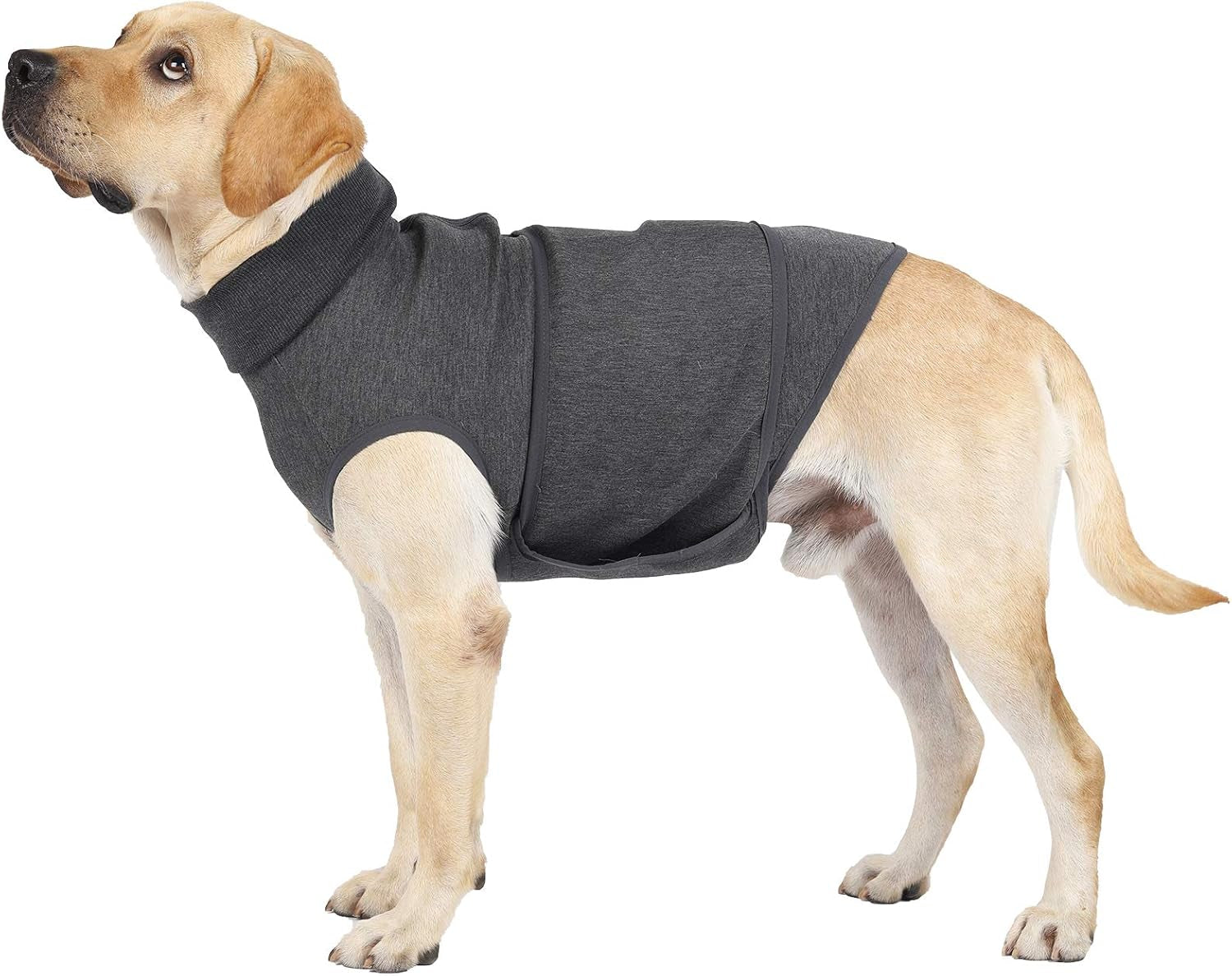 Dog Anxiety Jacket and Calming Vest - Security Coat Shirt for Small Medium Large Dogs (M)