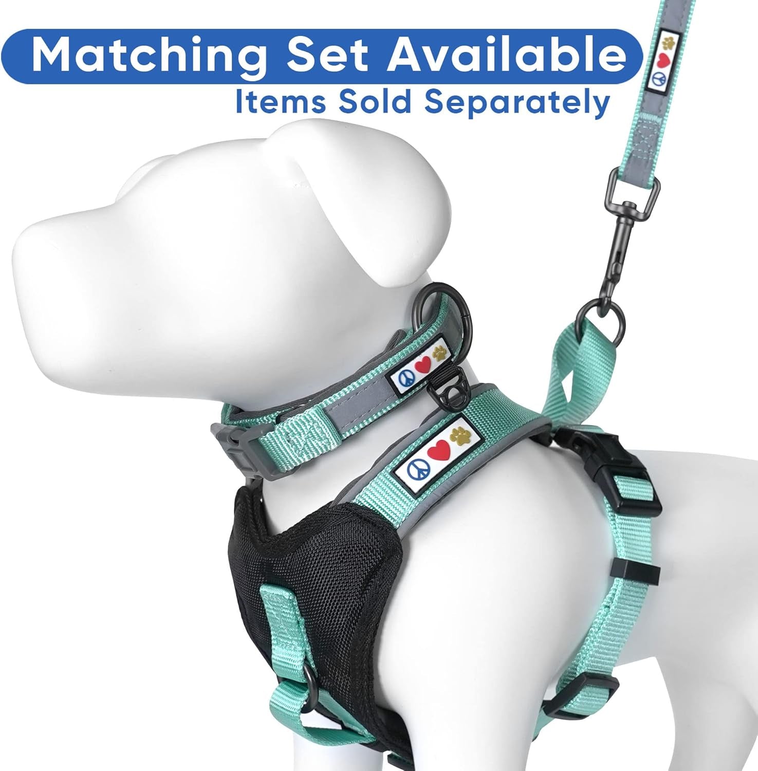 6 FT Padded Dog Leash with Comfortable Neoprene Padding Handle - Teal Lead | Reflective Dog Leash with Highly Reflective Band Perfect for Extra Small and Small Dogs and Puppies