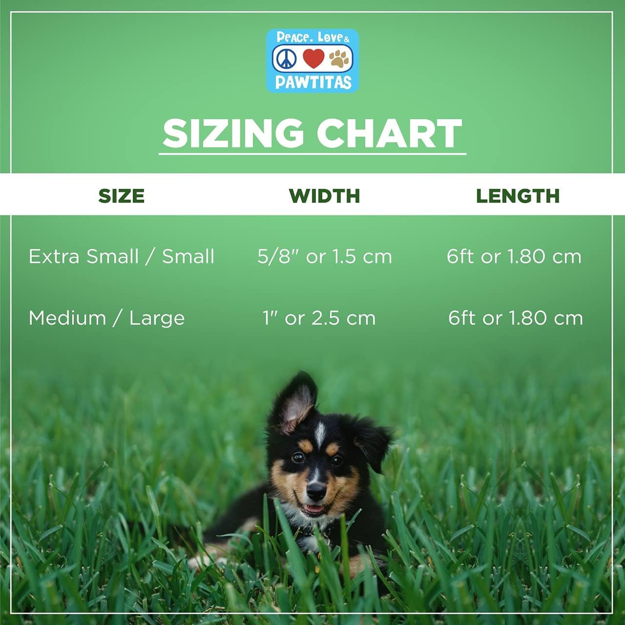 6 FT Padded Dog Leash with Comfortable Neoprene Padding Handle - Black Lead | Medium Reflective Dog Leash with Highly Reflective Band Perfect for Medium and Large Dogs and Puppies