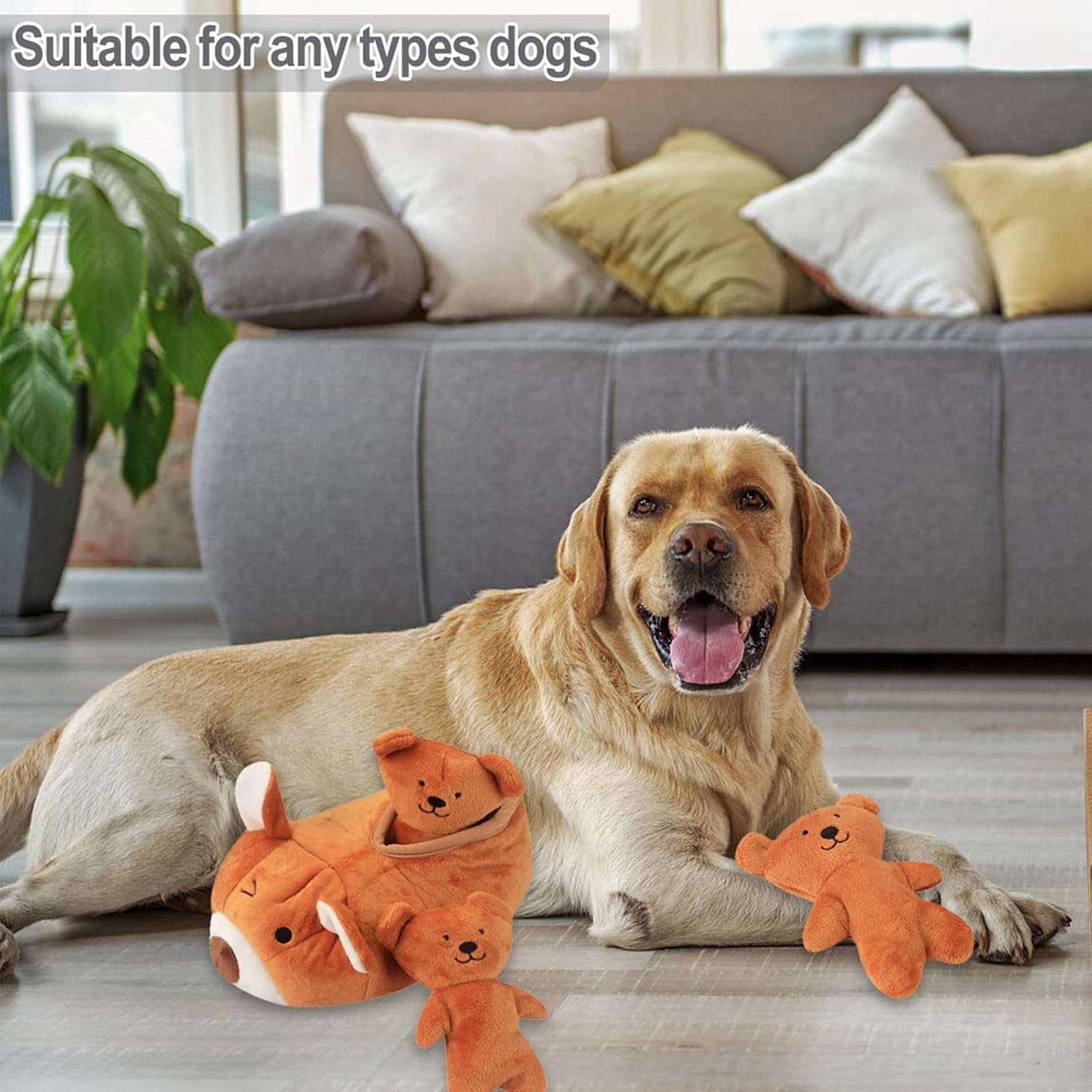 Hide and Seek Plush Dog Toy Squeaky Bear Interactive Puppy Toys, Durable Enrichment Toys for Mental Stimulation and Anxiety Relief