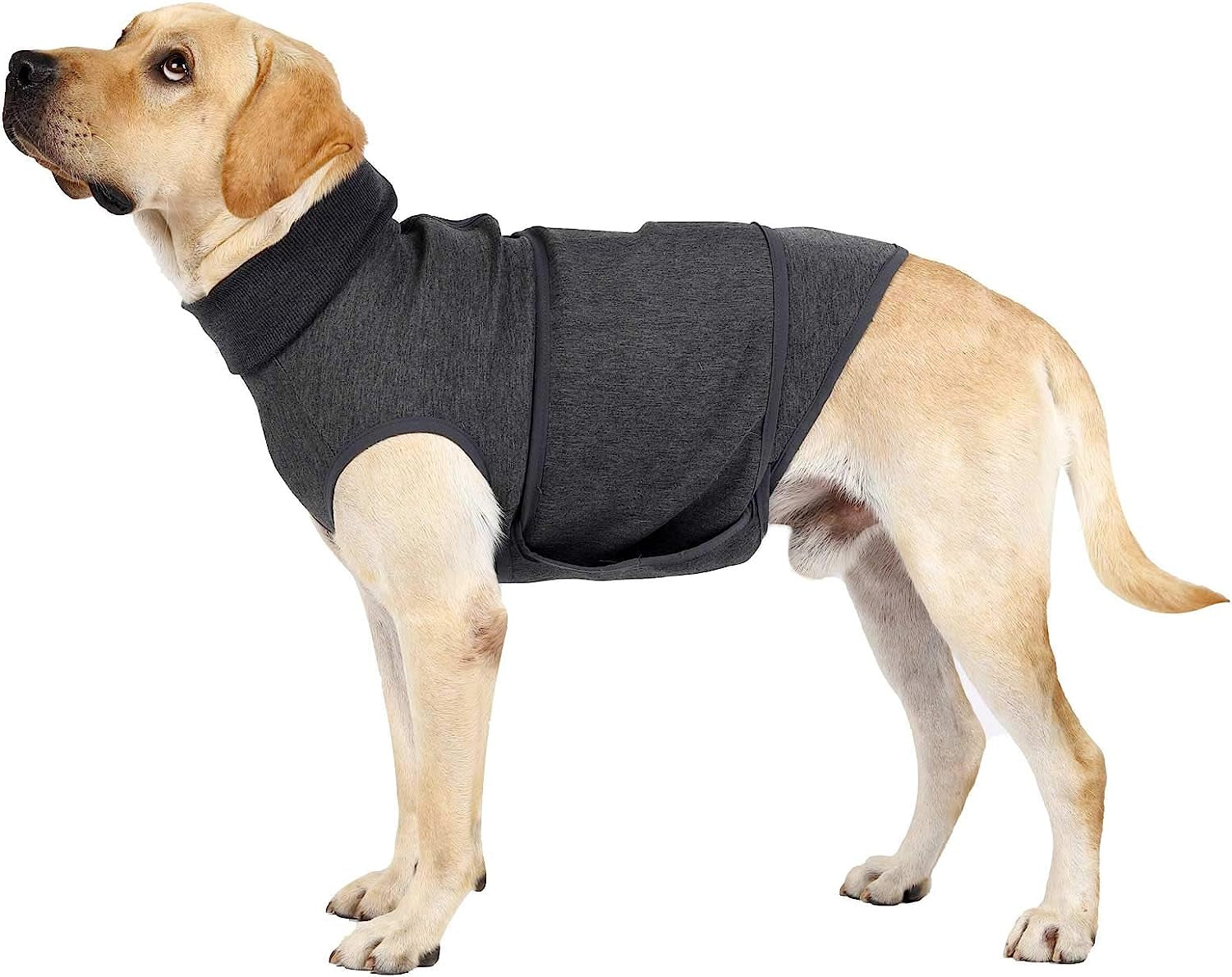 Dog Anxiety Jacket Dog Anxiety Vest Dog Calming Vest Wrap Dog Stress Relief Coat Dog Calming Solution Jacket for Fireworks,Travel and Separation(Xs,Grey)