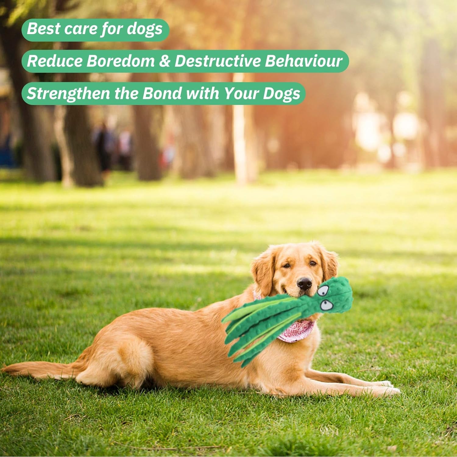 2 Pack Octopus No Stuffing Dog Toy, anti Anxiety Dog Squeaky Chew Toys, Plush Puppy Teething Chew Toys Dog Birthday Christmas Toys, Durable Interactive Dog Toys for Small Medium Dogs