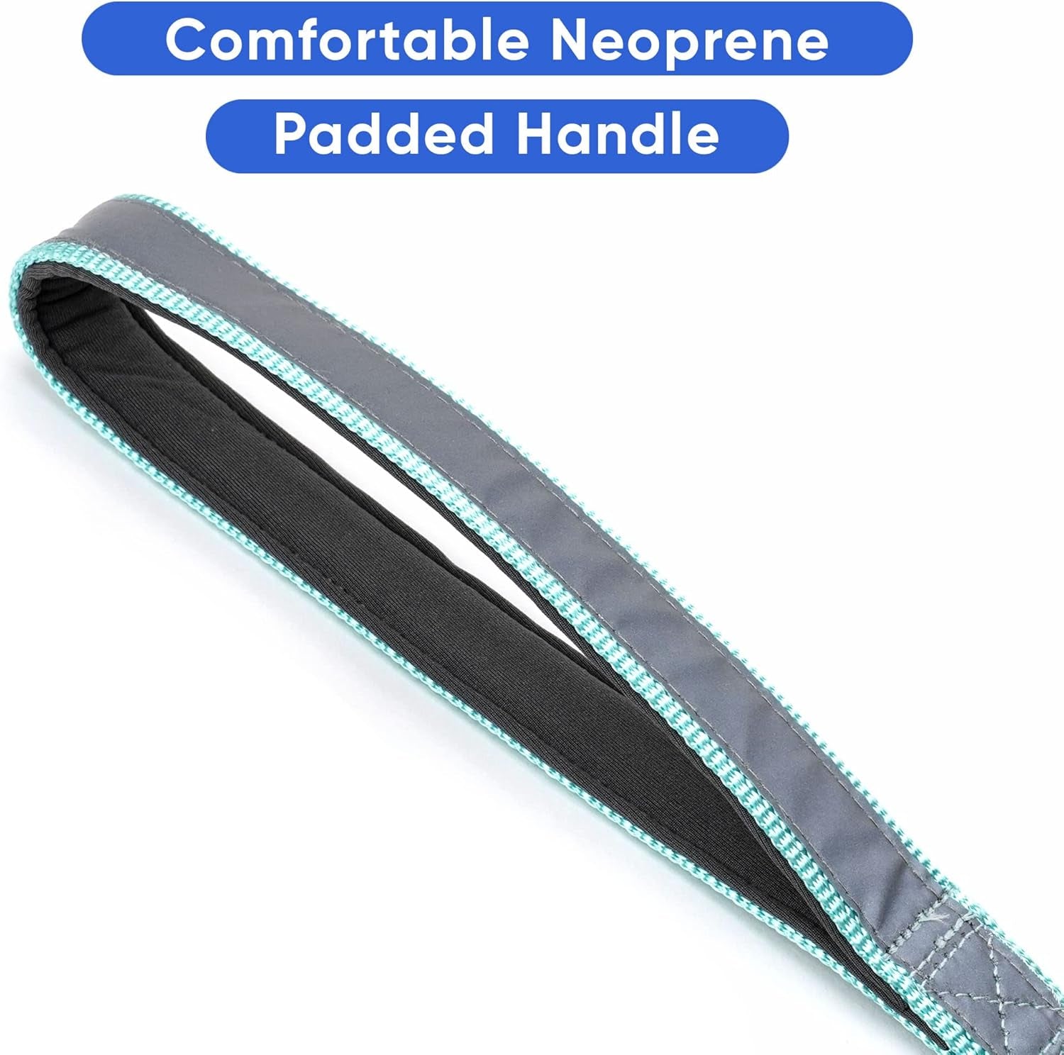 6 FT Padded Dog Leash with Comfortable Neoprene Padding Handle - Teal Lead | Reflective Dog Leash with Highly Reflective Band Perfect for Extra Small and Small Dogs and Puppies