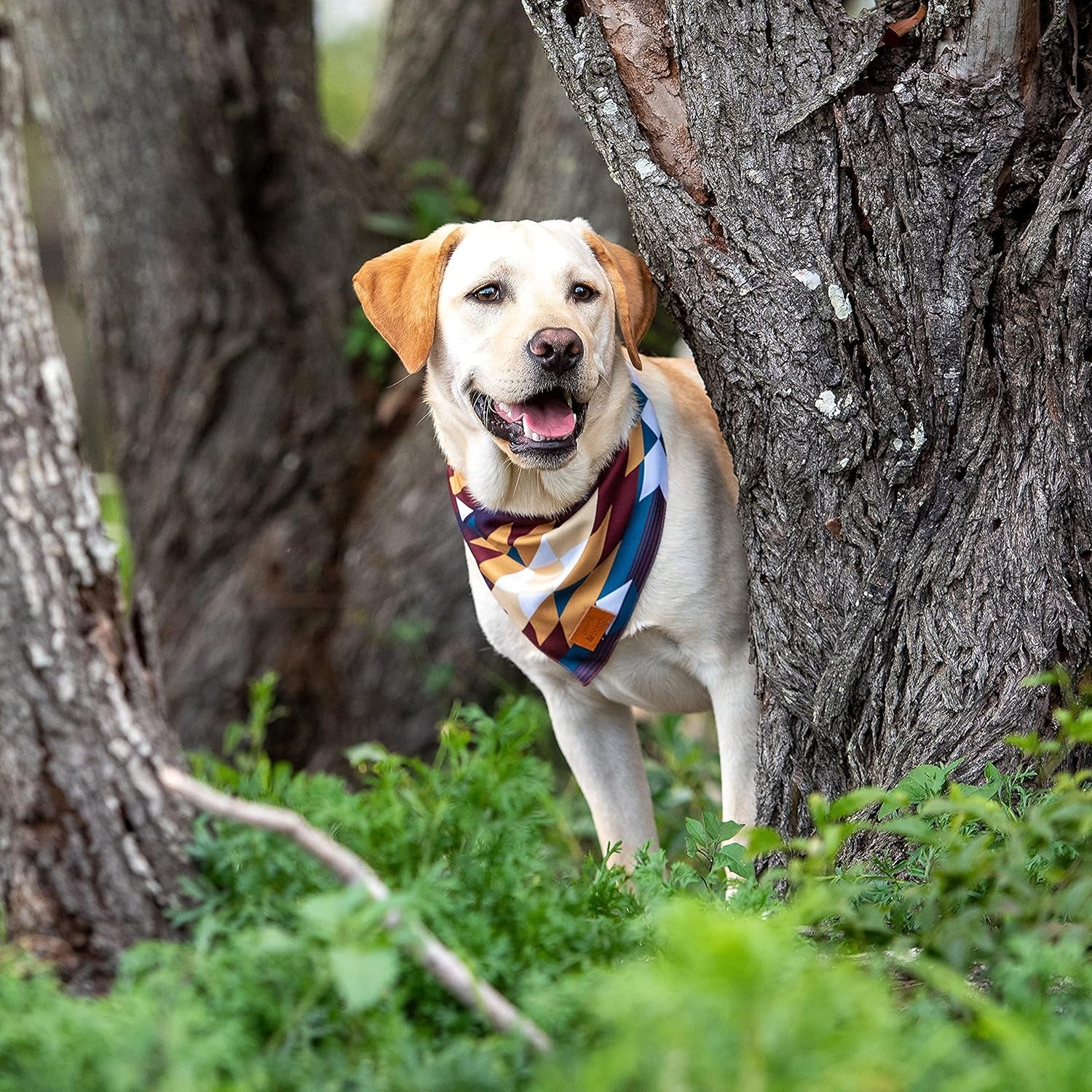 Pascal and Pooch Dog Bandanas Suitable for Medium & Large Dog Bandana Boy & Girl - Premium Adjustable Fabric Bandana for Dogs Reversible - Unique and Stylish Pack of 4 Durable Bandanas for Dogs