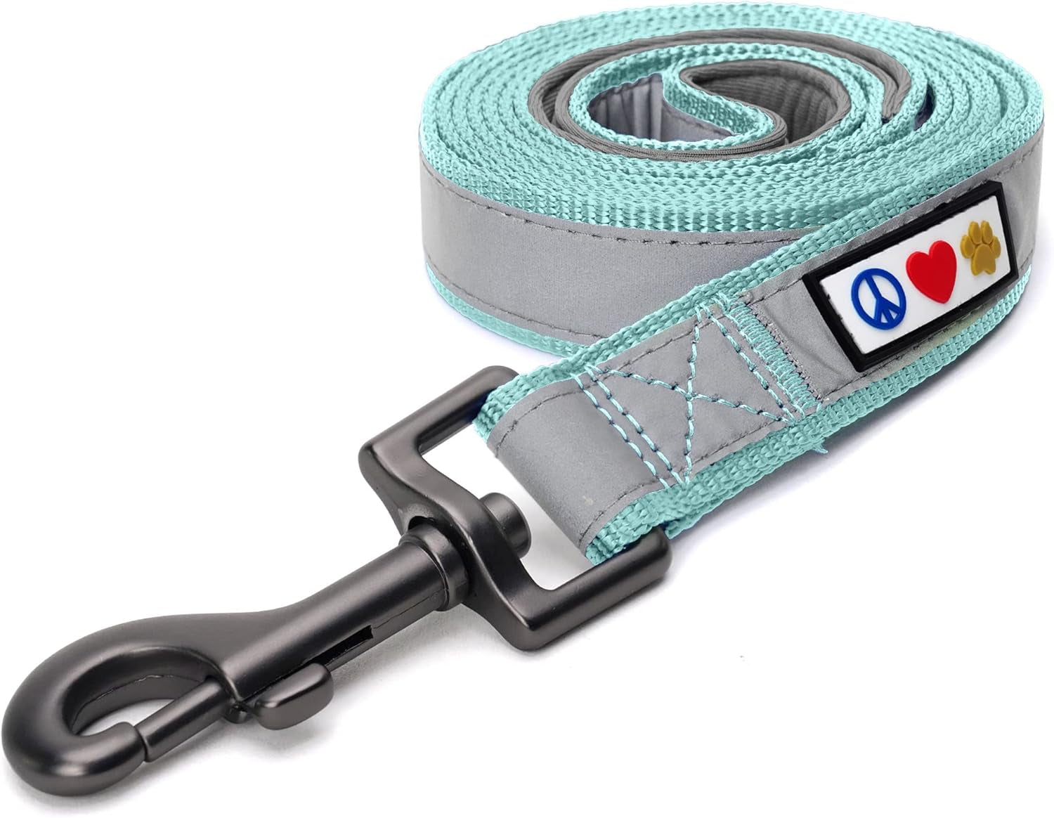 6 FT Padded Dog Leash with Comfortable Neoprene Padding Handle - Teal Lead | Reflective Dog Leash with Highly Reflective Band Perfect for Extra Small and Small Dogs and Puppies