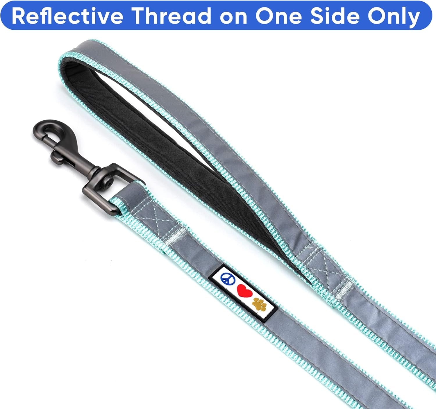 6 FT Padded Dog Leash with Comfortable Neoprene Padding Handle - Teal Lead | Reflective Dog Leash with Highly Reflective Band Perfect for Extra Small and Small Dogs and Puppies